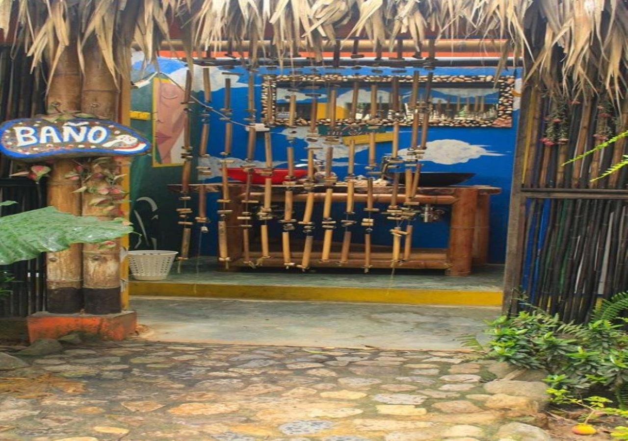 La Natura Hostel & Pool Palomino Exterior foto