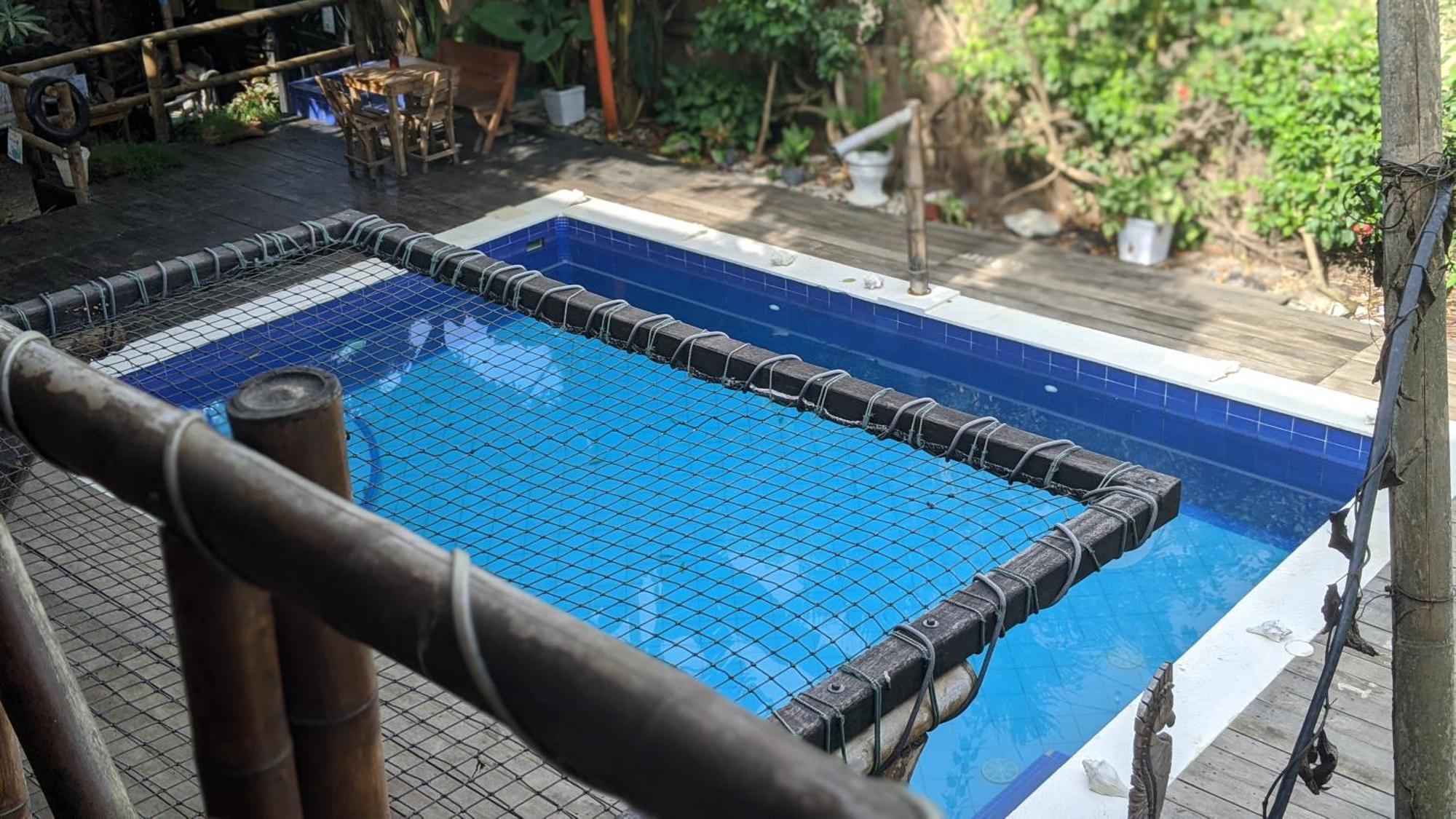 La Natura Hostel & Pool Palomino Exterior foto