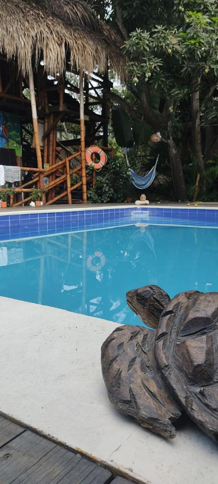 La Natura Hostel & Pool Palomino Exterior foto